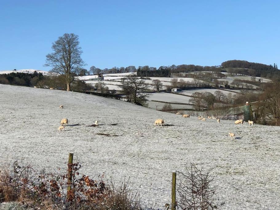 5F Stanley Lodge, Caer Beris, Builth Wells - No Tradesman Esterno foto
